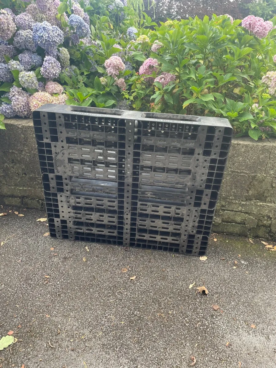 Plastic pallets