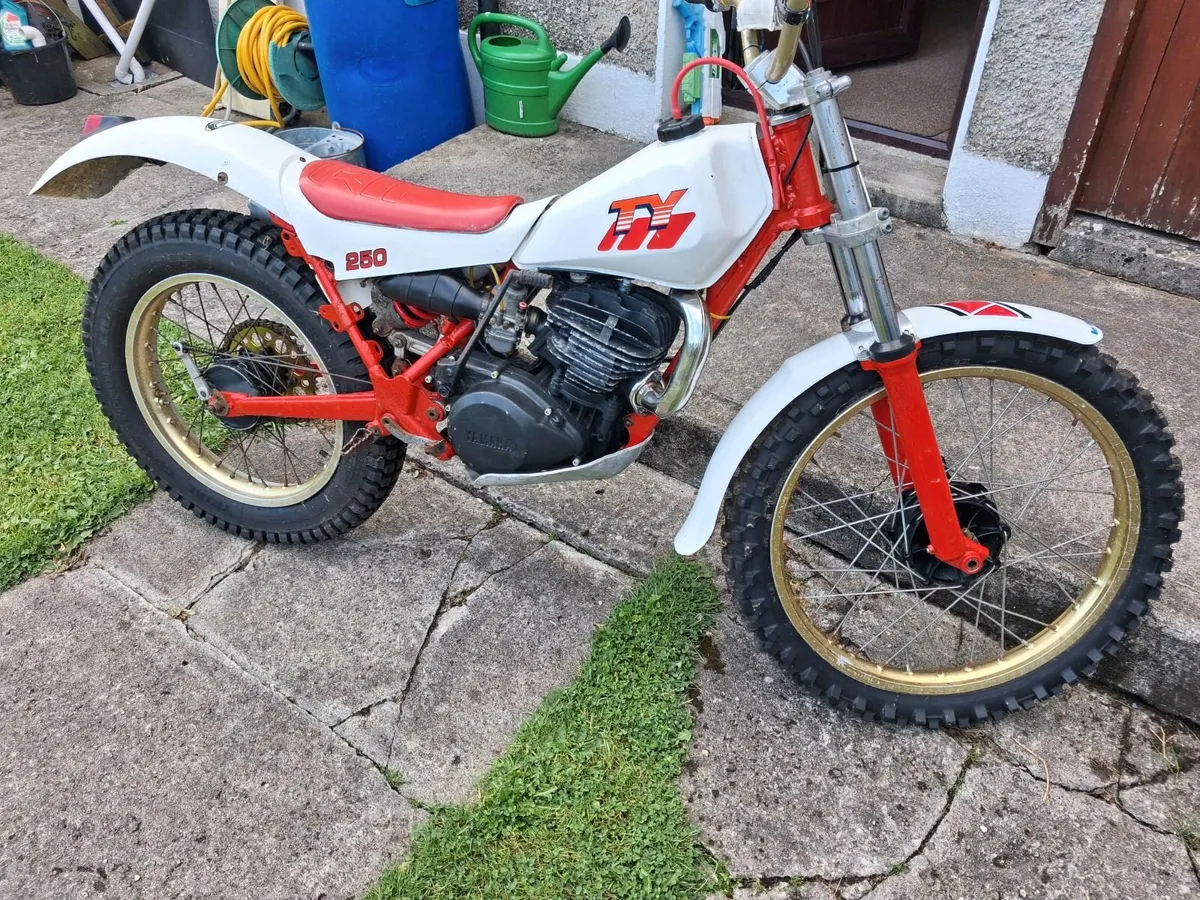 YamahaTY250 - Image 2