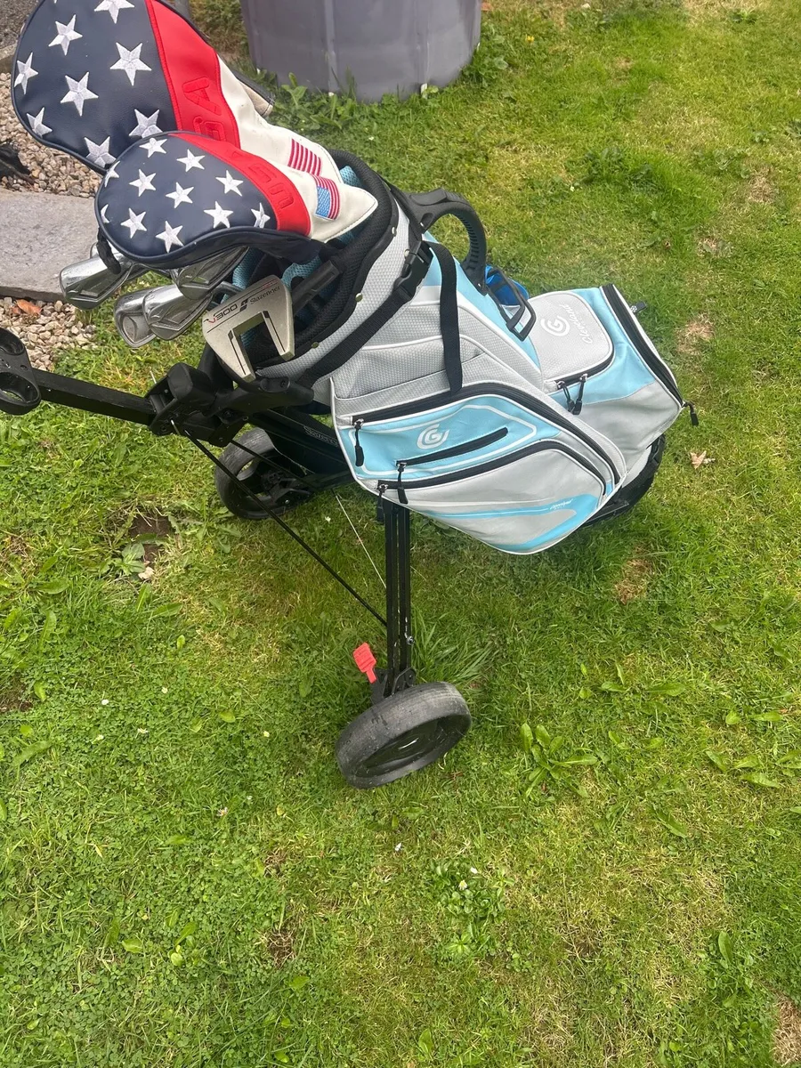 Golf clubs - Image 1