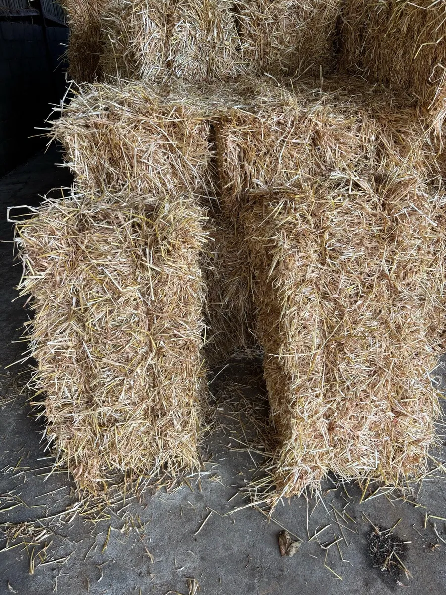 Small square bales of hay and straw - Image 1