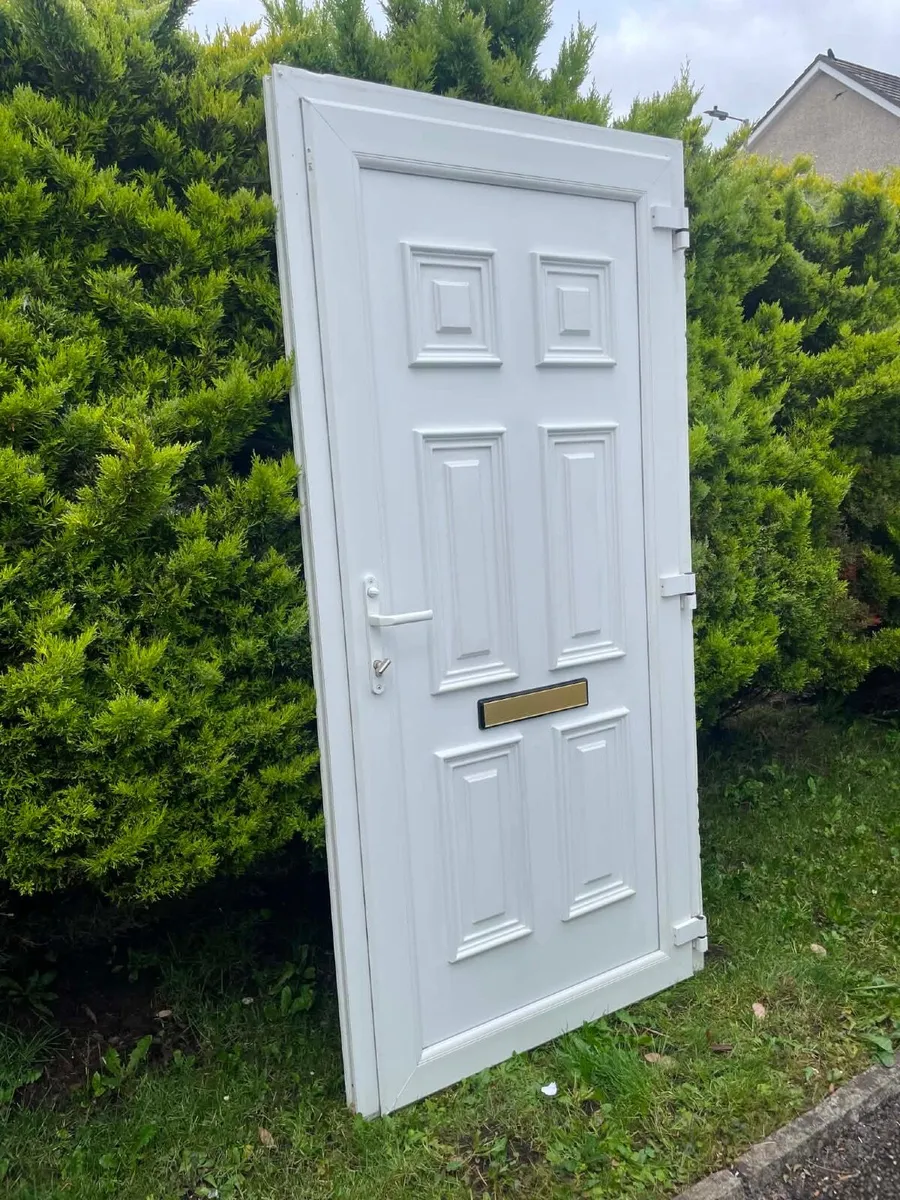 PVC door - Image 1