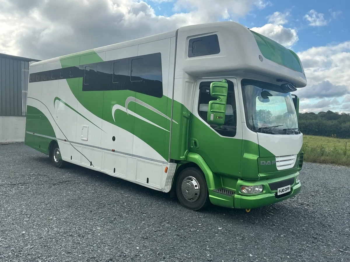 2010 Daf horsebox - Image 2