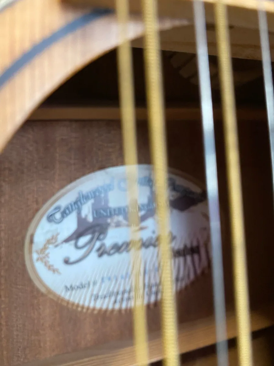 Tanglewood 12 string guitar & case - Image 3