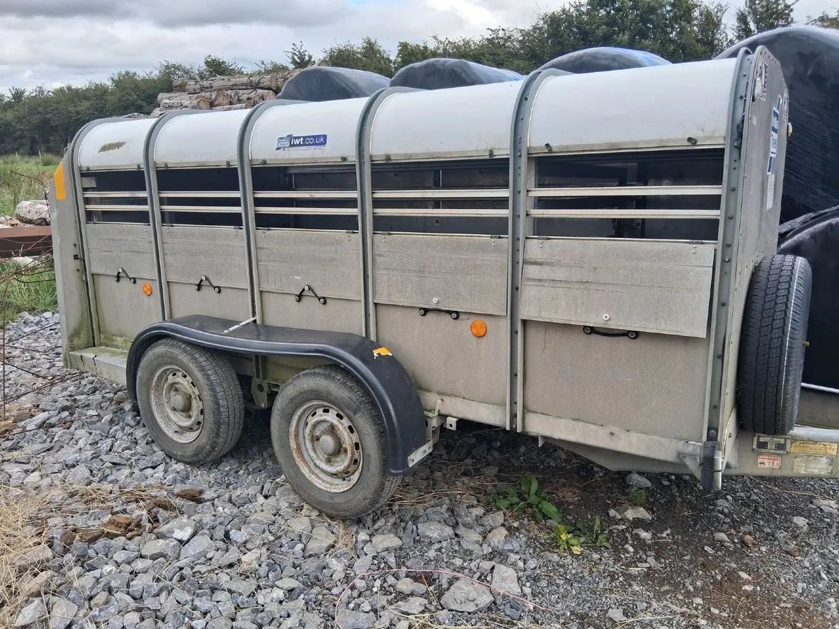 Sheep/Pig Trailer - Image 2