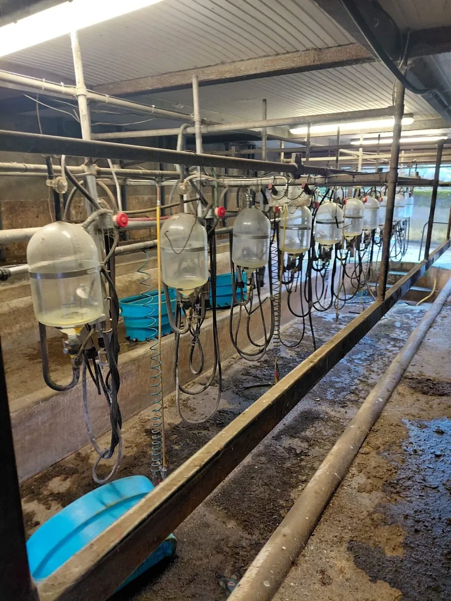 Start up Milking Parlour & extras for sale - Image 1