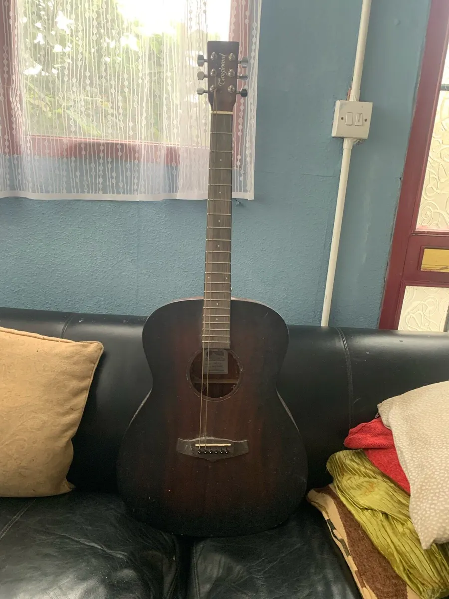 Guitars-  Electric and Acoustic - Image 2