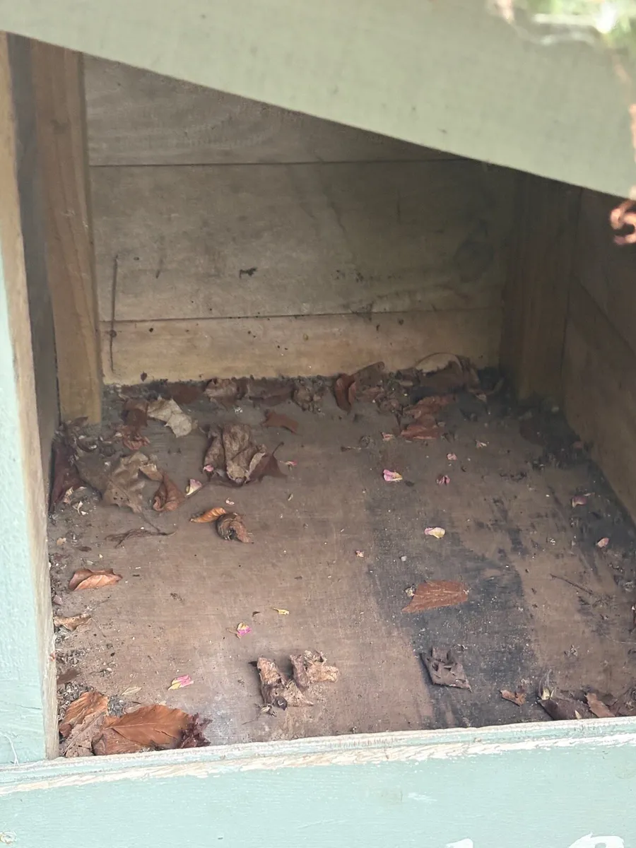 Dog kennel - Image 4