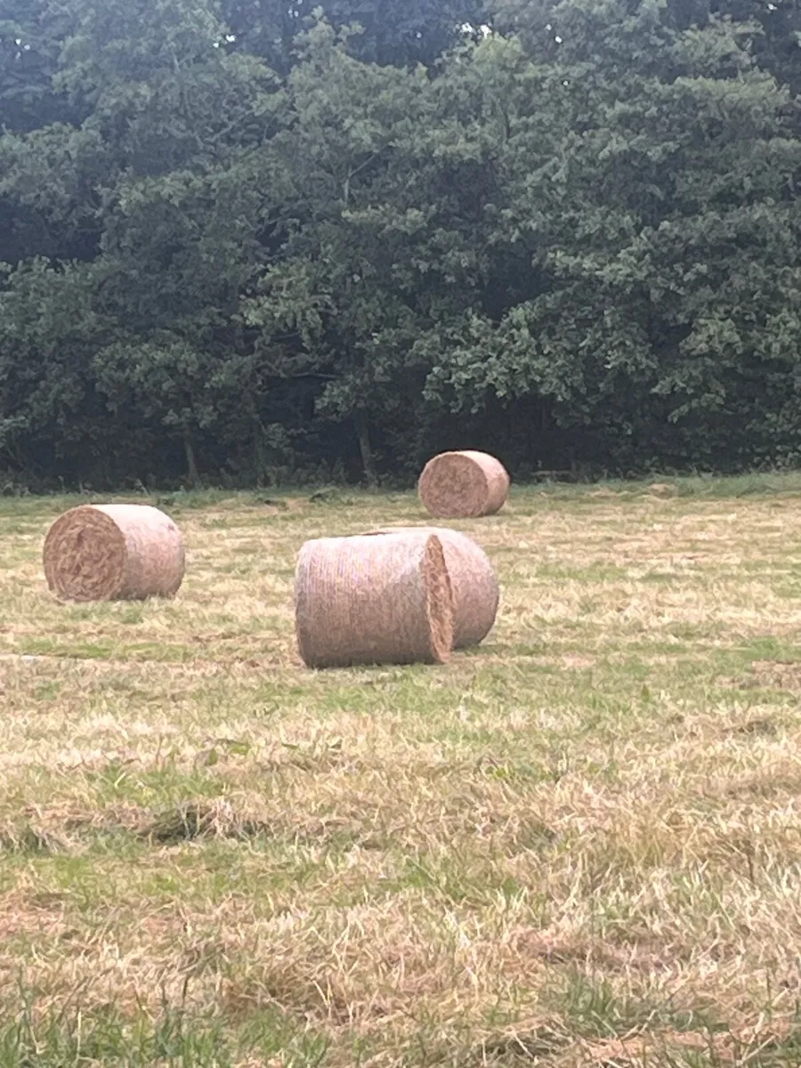 121 bales for sale €20 one
