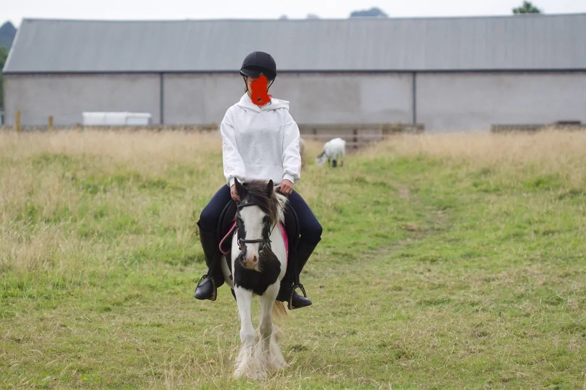 Kids pony - Image 4