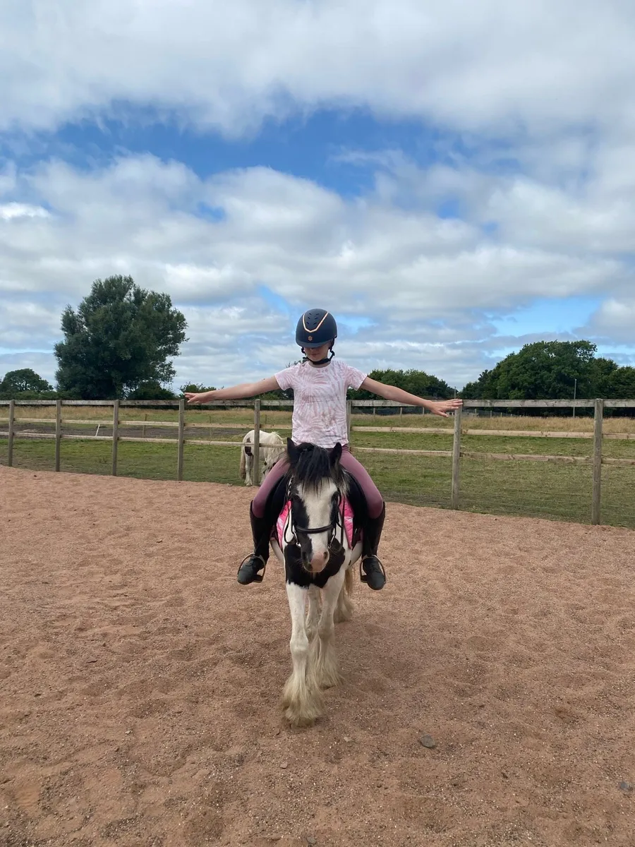 Kids pony - Image 1