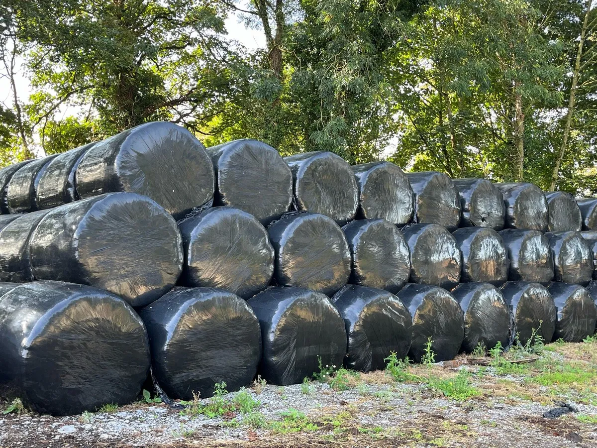 Straw and Silage - Image 2