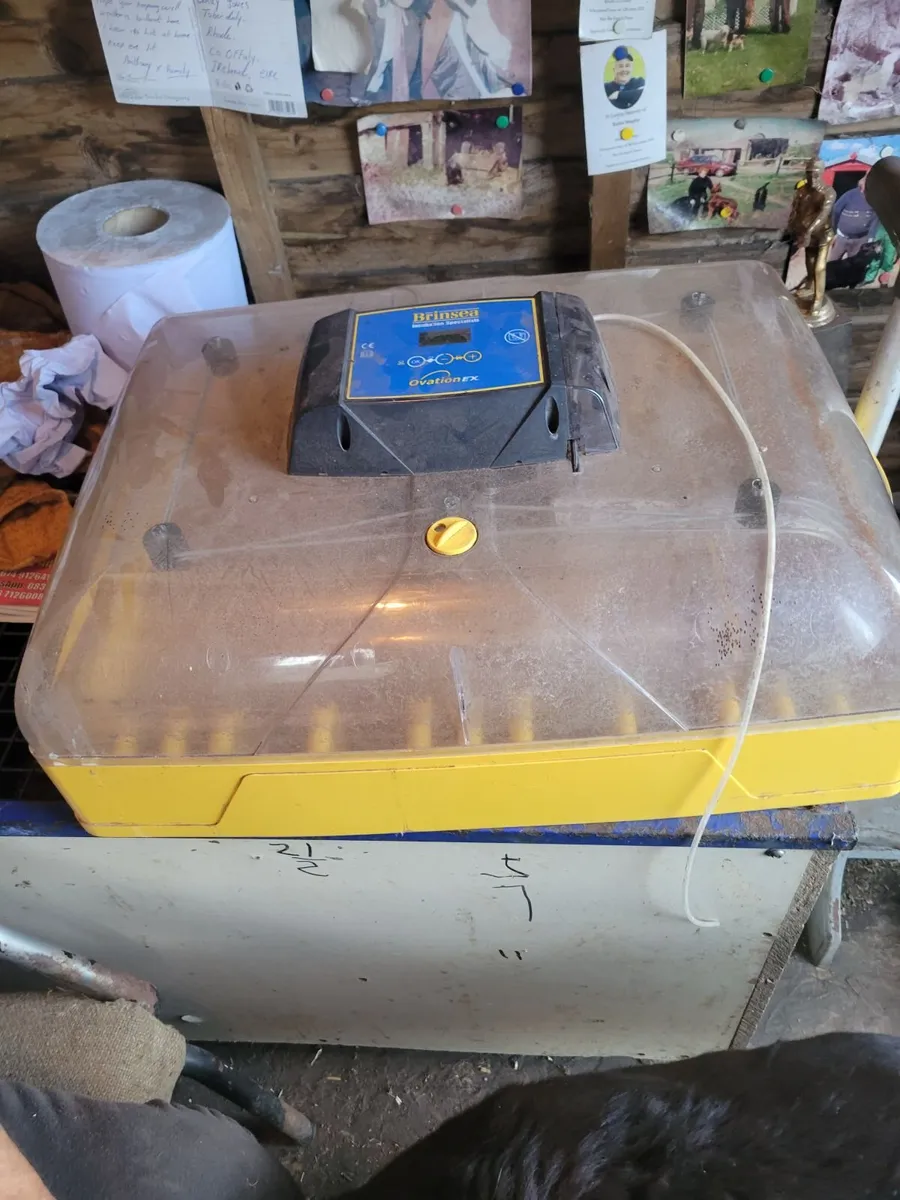 Incubator - Image 3