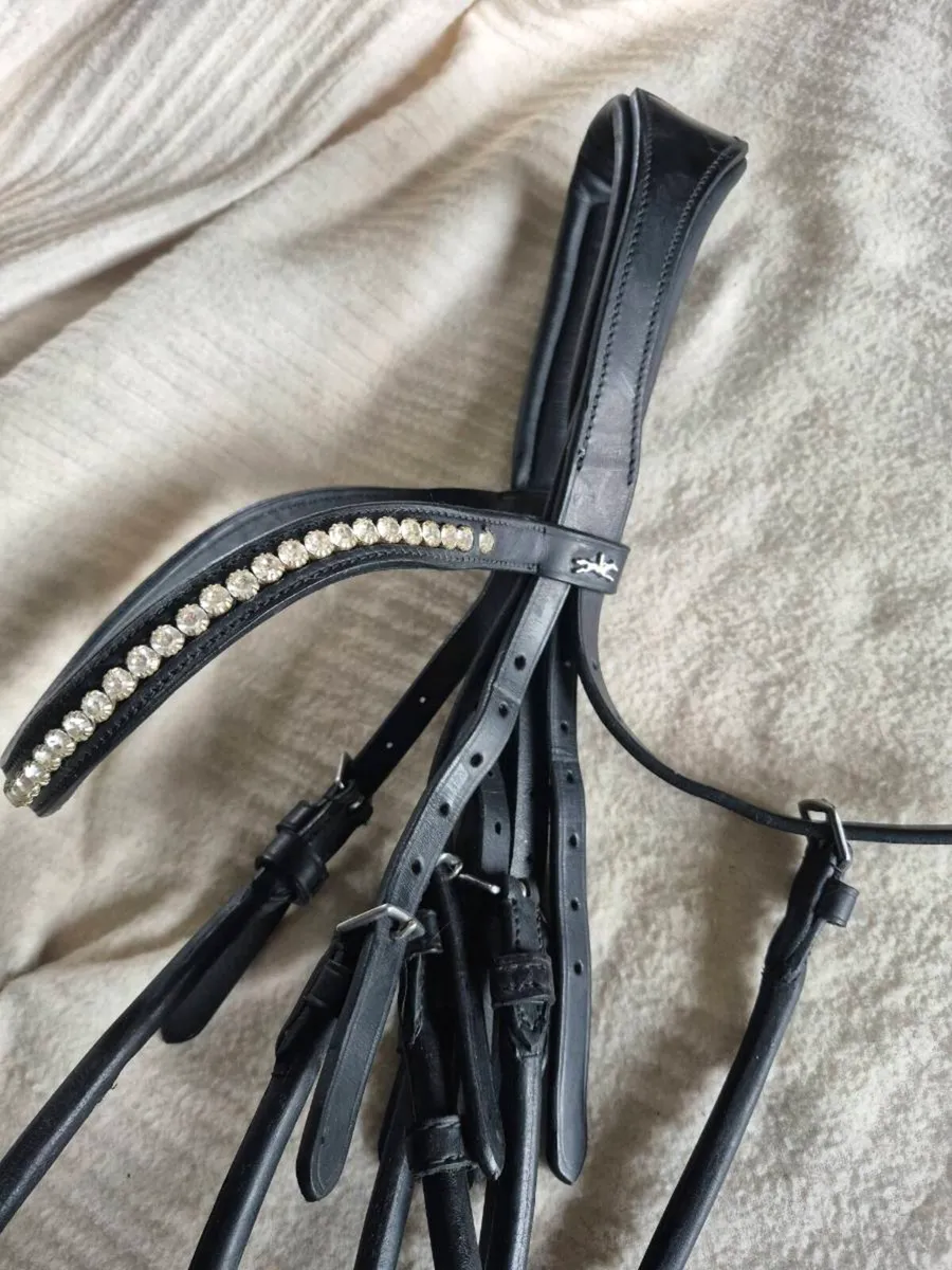 Schockemohle double bridle - Image 3