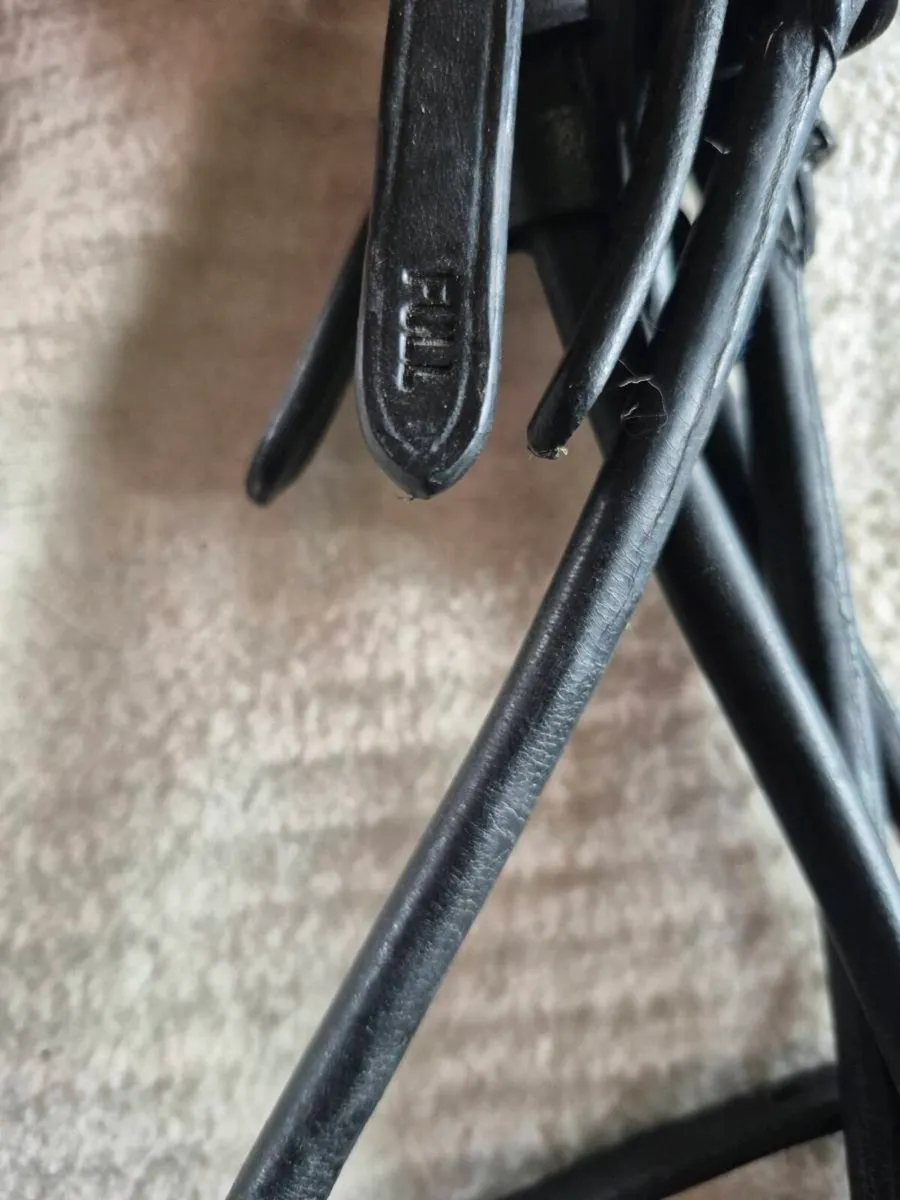 Schockemohle double bridle - Image 4