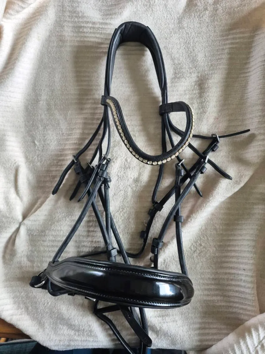 Schockemohle double bridle - Image 1