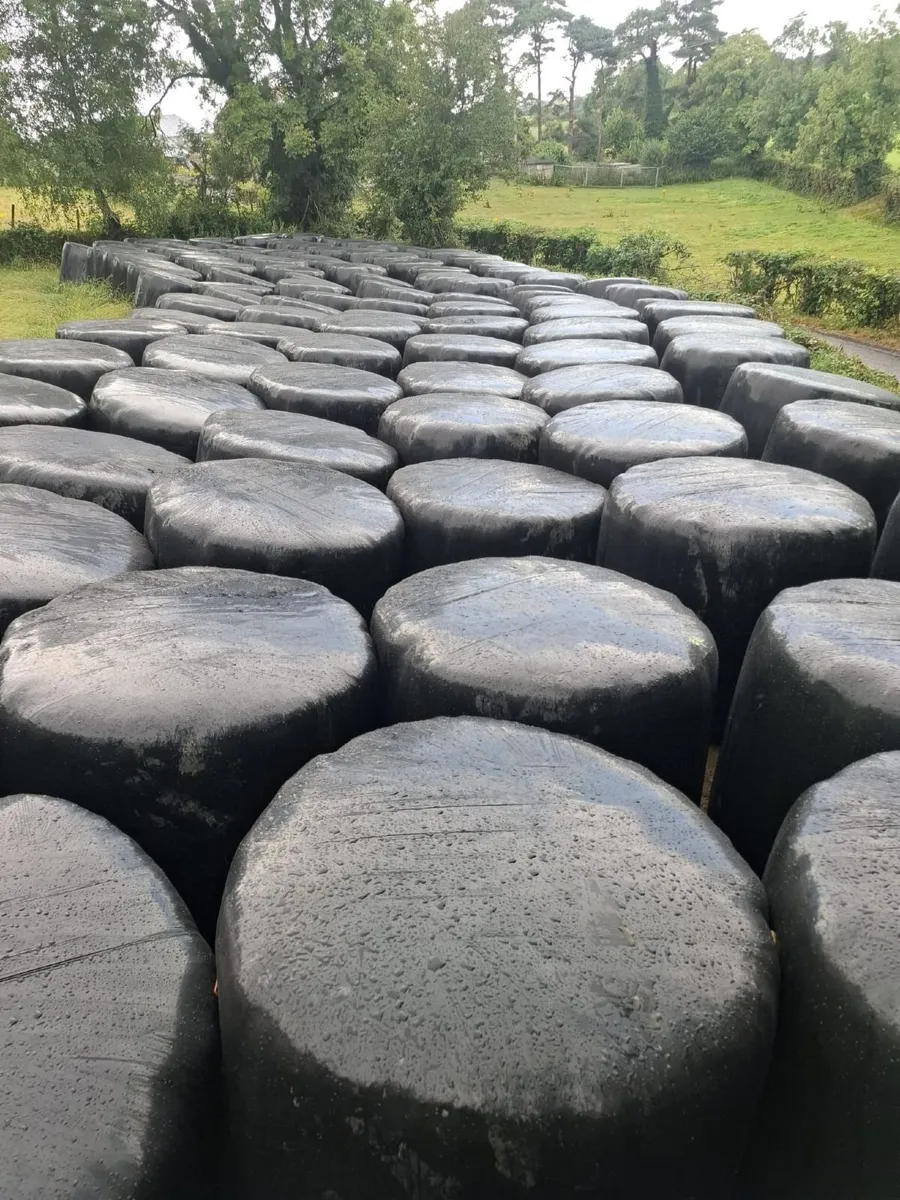 Round Bales