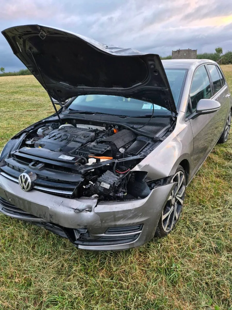 2014 Golf - Image 1