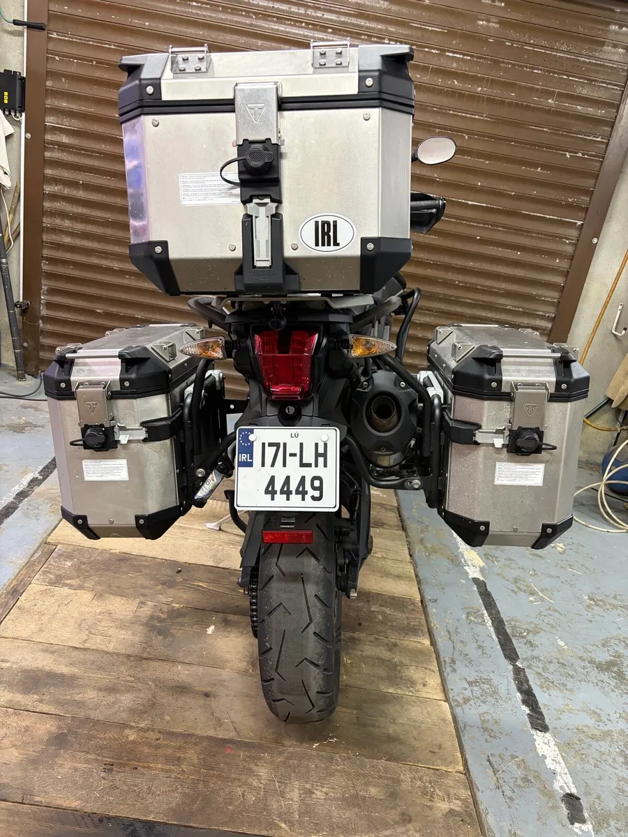Triamph Tiger - Image 4