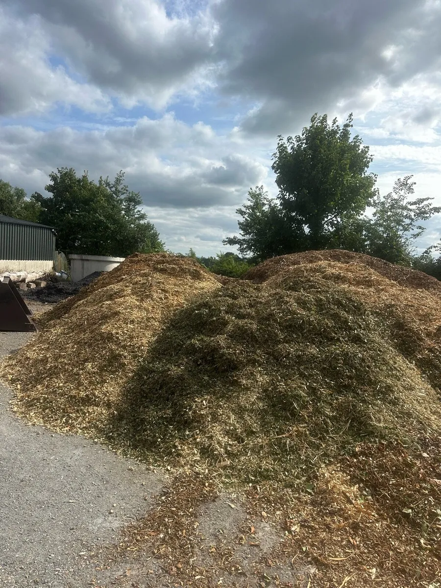 Wood Chip - Image 2