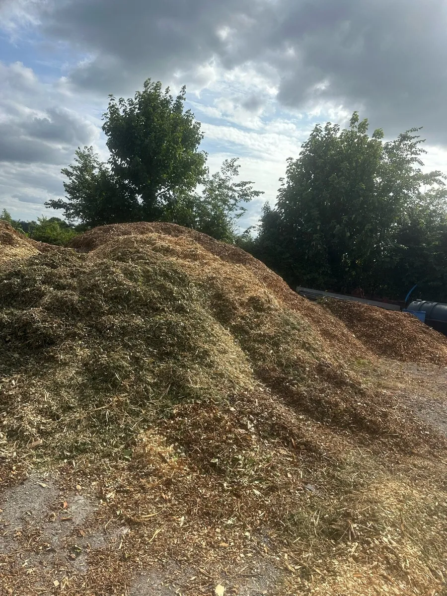 Wood Chip - Image 3