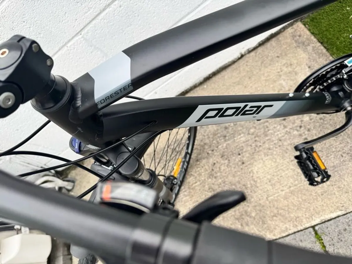Polar Forester Pro - Image 3