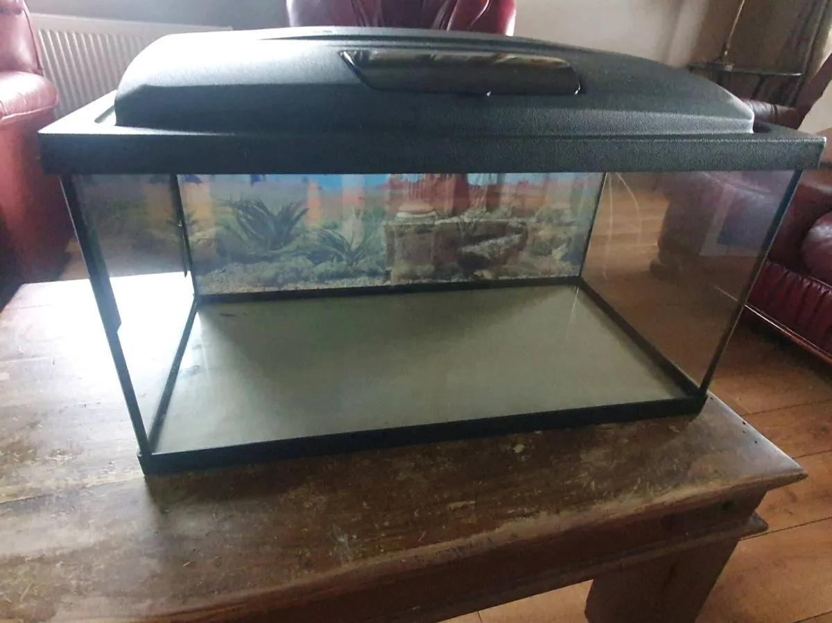Aquael Complete 54L Aquarium Setup - Image 4