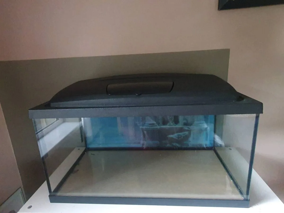 Aquael Complete 54L Aquarium Setup - Image 2