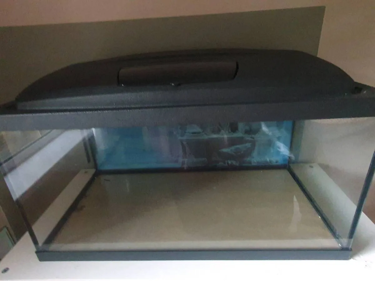 Aquael Complete 54L Aquarium Setup - Image 3