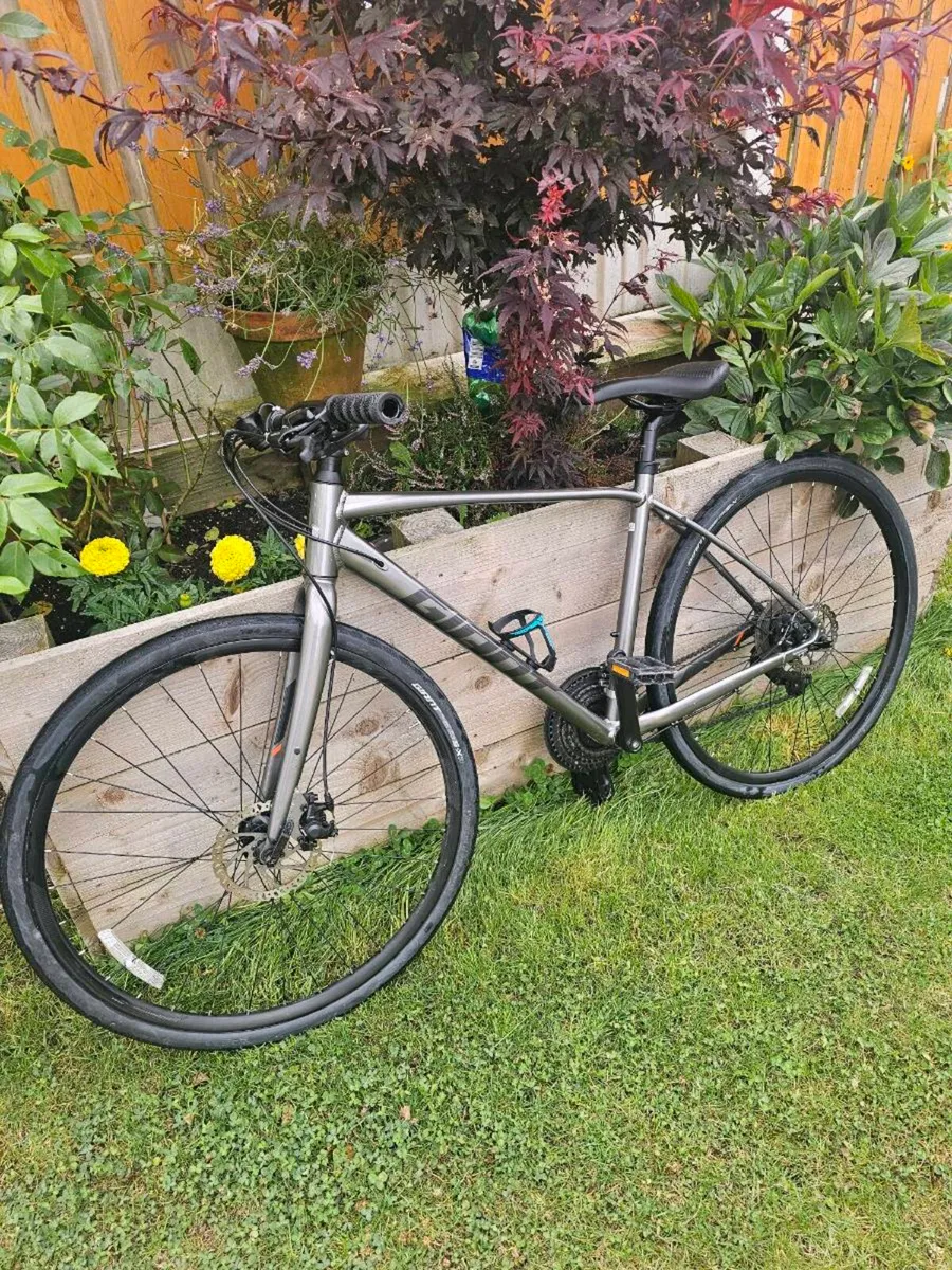 Giant Escape Disc Hybrid Excellent Condition - Image 2