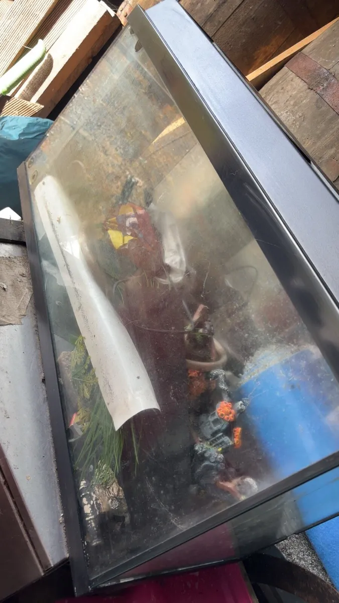 Fish tank - Image 1