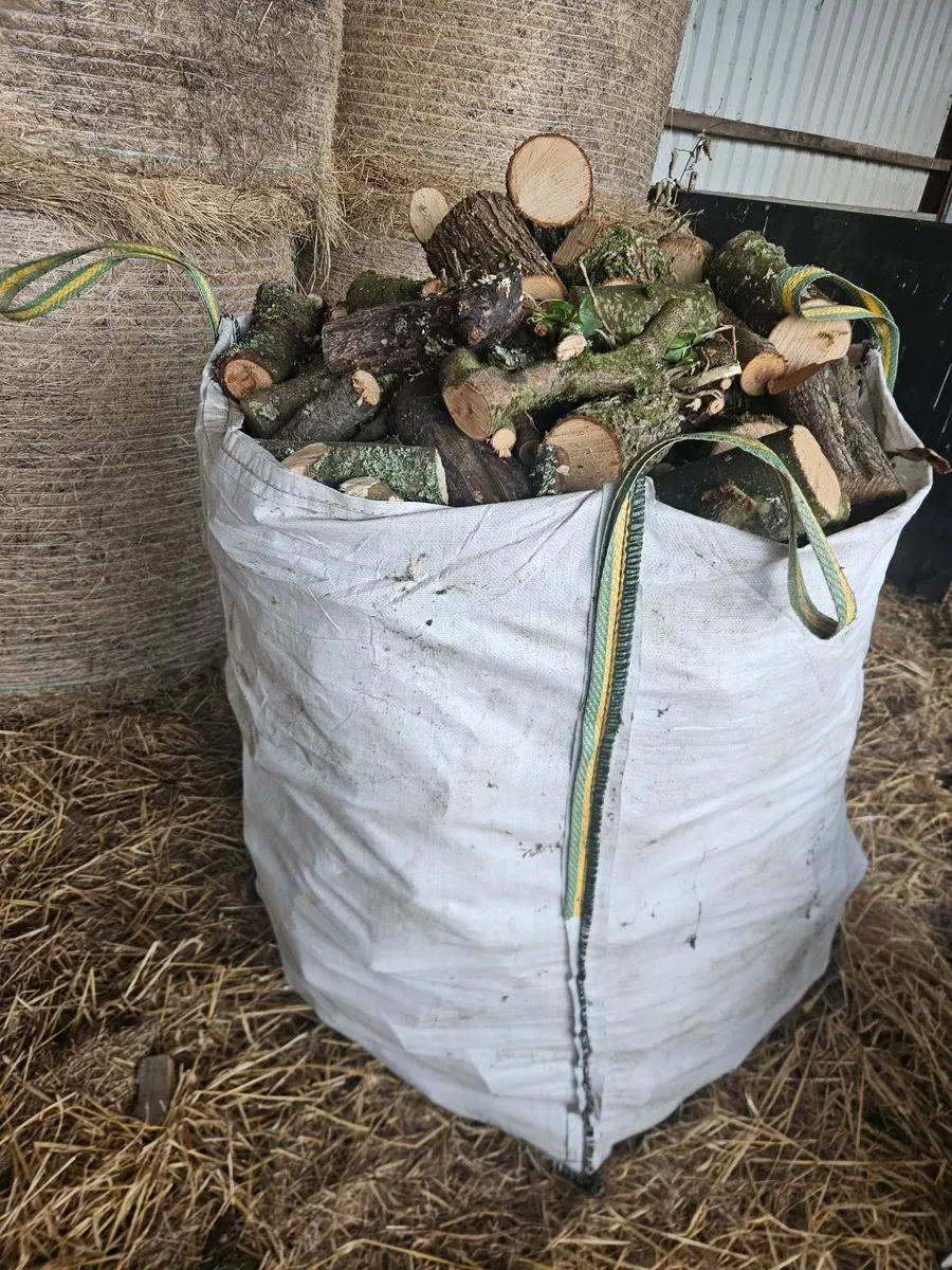 Firewood - 5bags of hardwood - Image 3