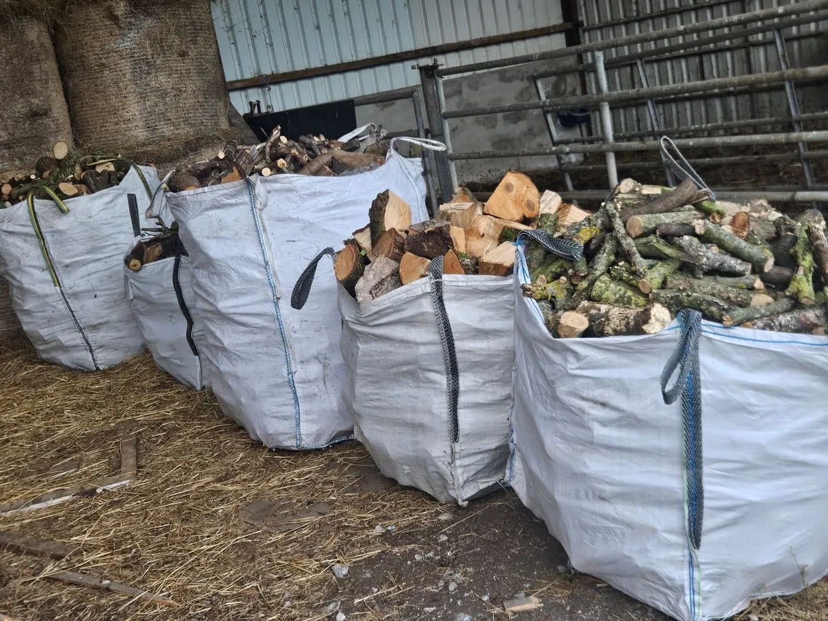 Firewood - 5bags of hardwood - Image 1