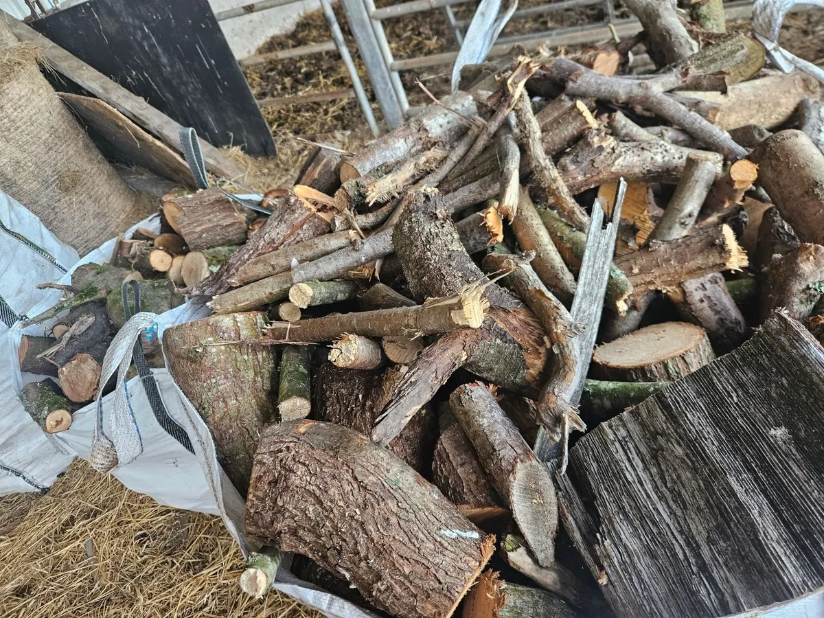 Firewood - 5bags of hardwood - Image 2
