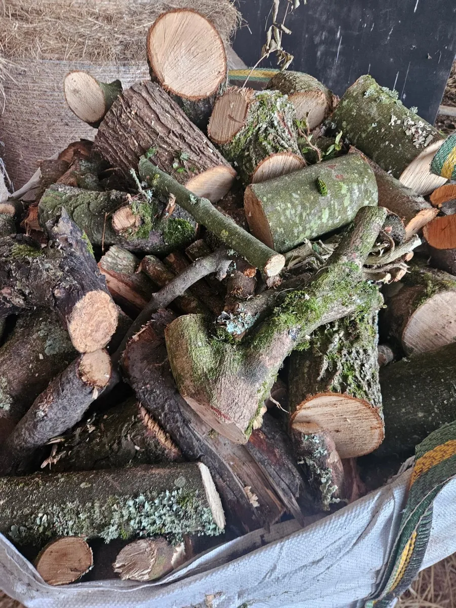 Firewood - 5bags of hardwood - Image 4