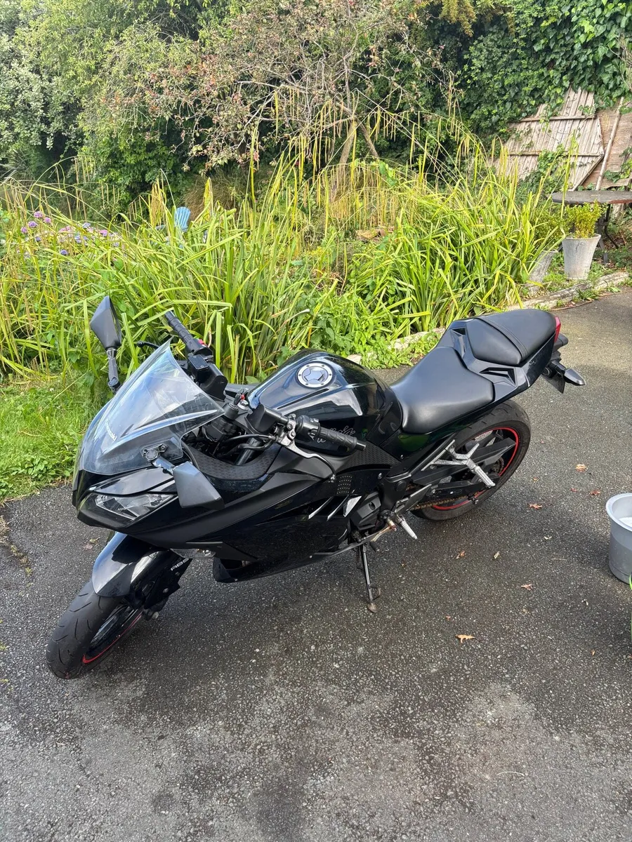 Kawasaki Ninja 300 - Image 1