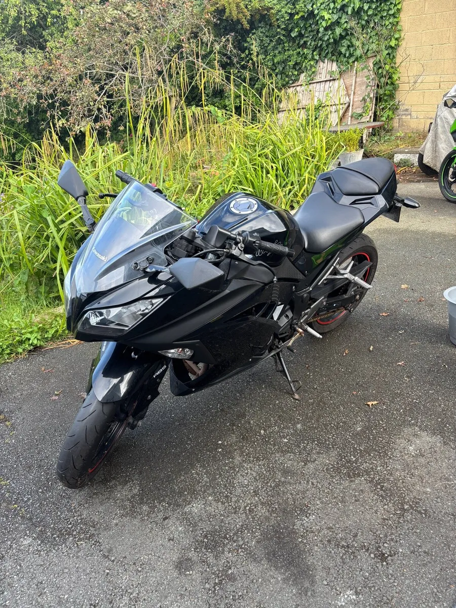 Kawasaki Ninja 300 - Image 2