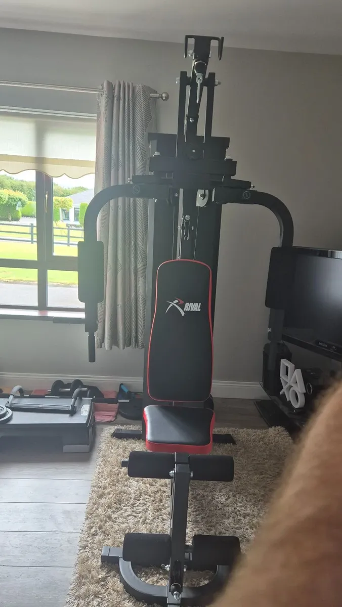 Home Gym - Image 4