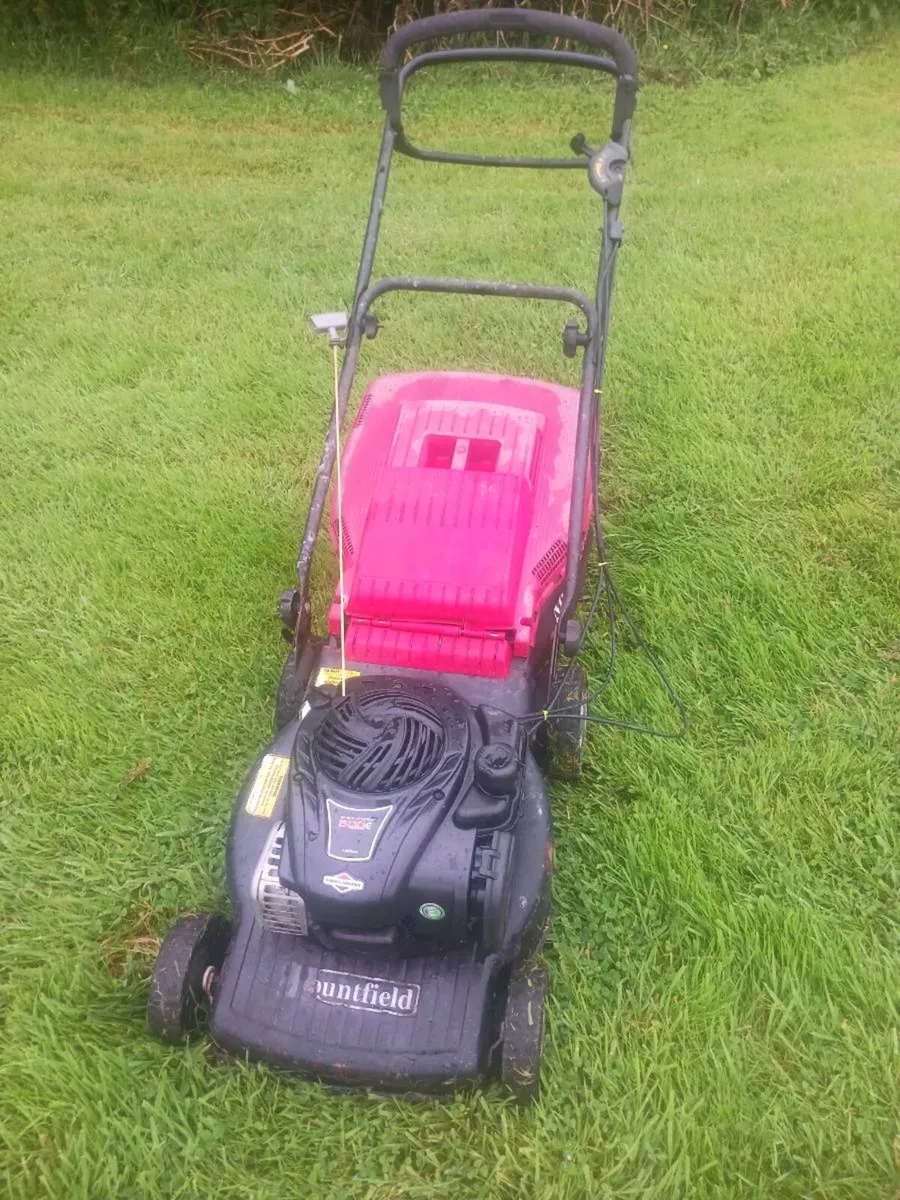 Lawnmower - Image 1