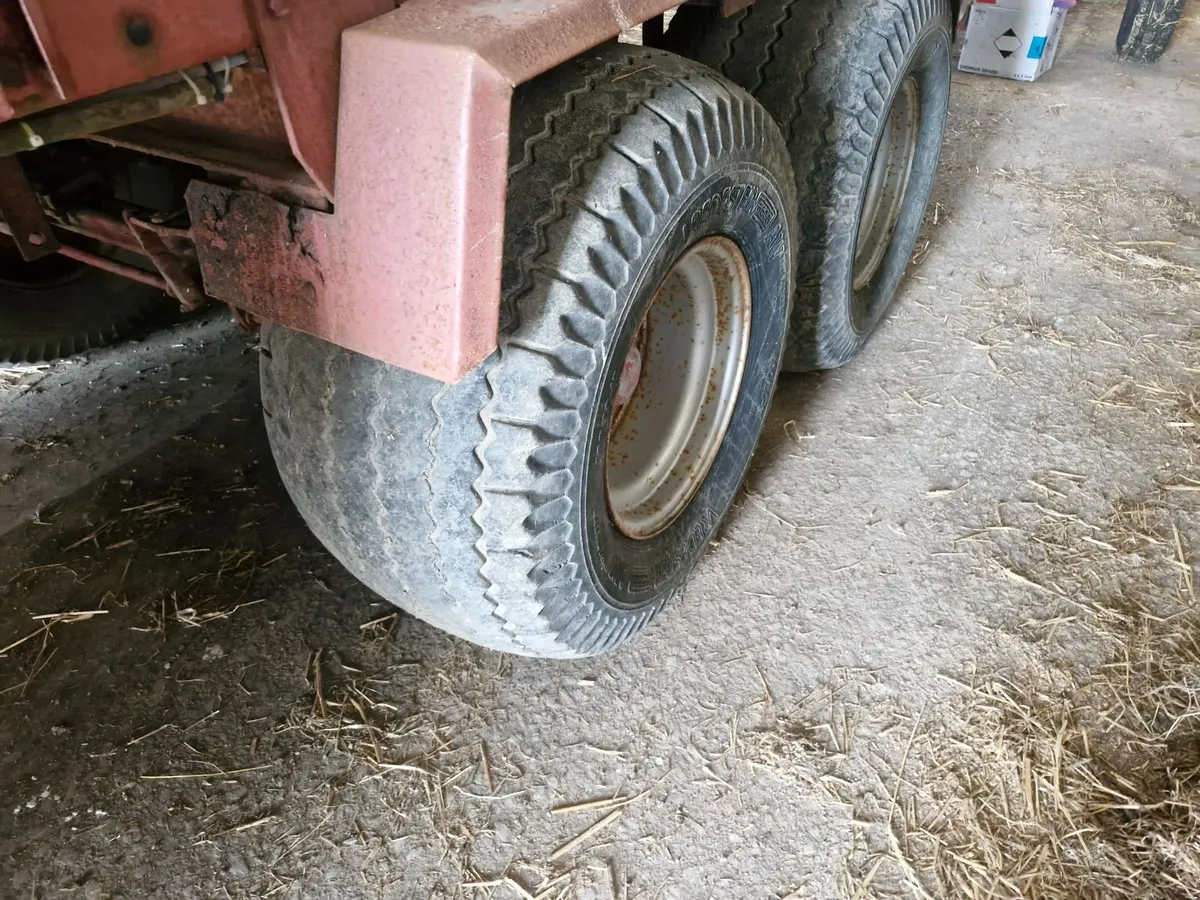Strautmann silage wagon - Image 3