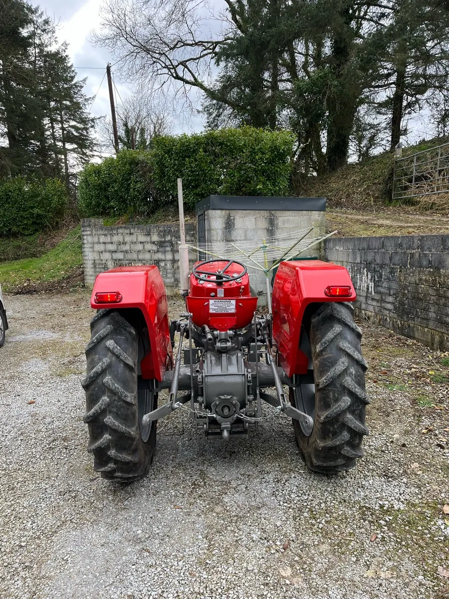 Mf 135 - Image 2