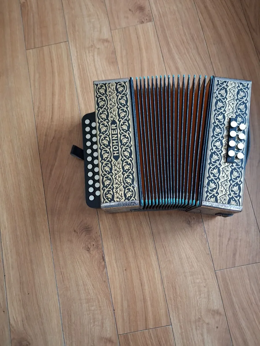 Hohner accordian - Image 2
