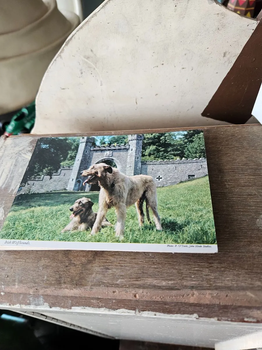Vintage Irish Post Card - Image 4