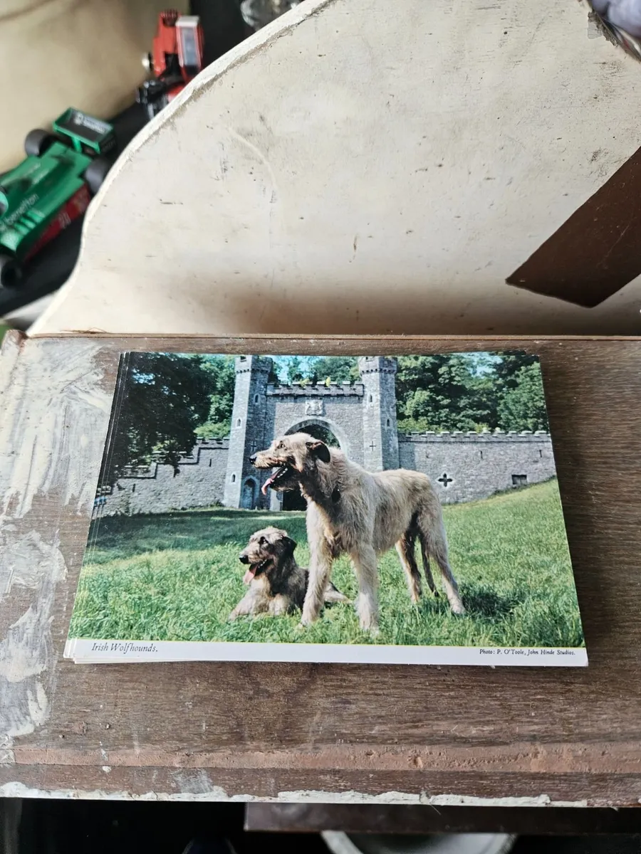 Vintage Irish Post Card - Image 1
