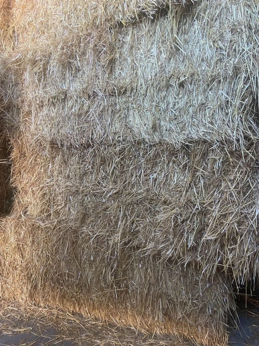 Wheaten Straw Bales