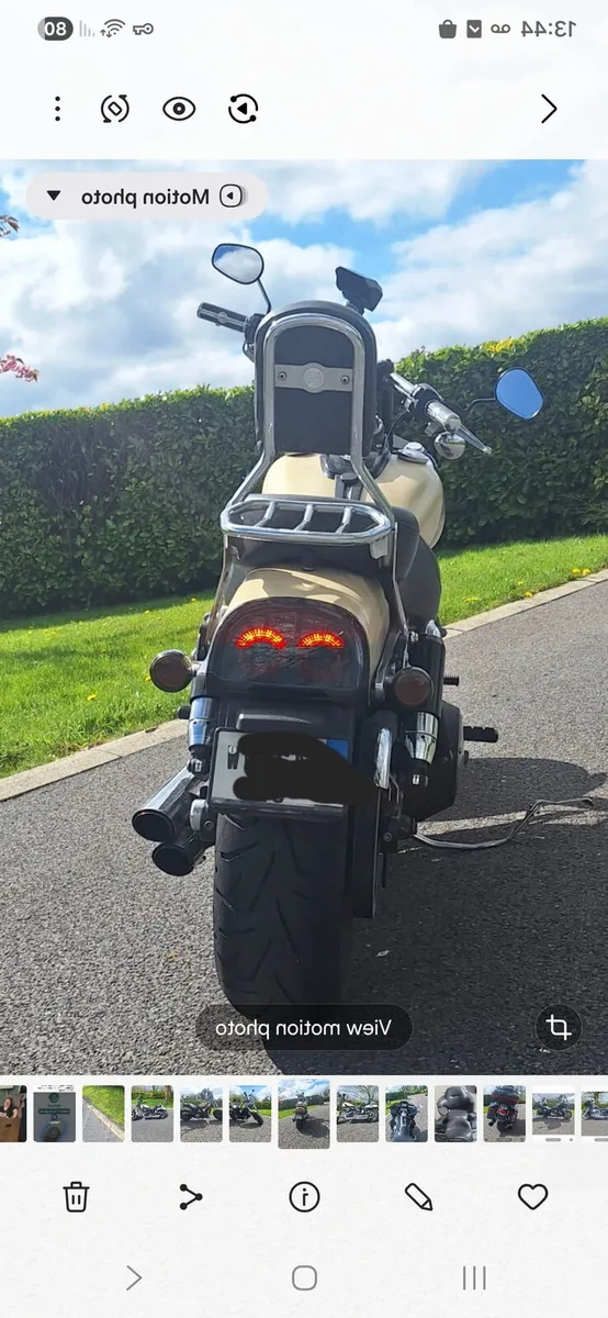 Harley - Image 3