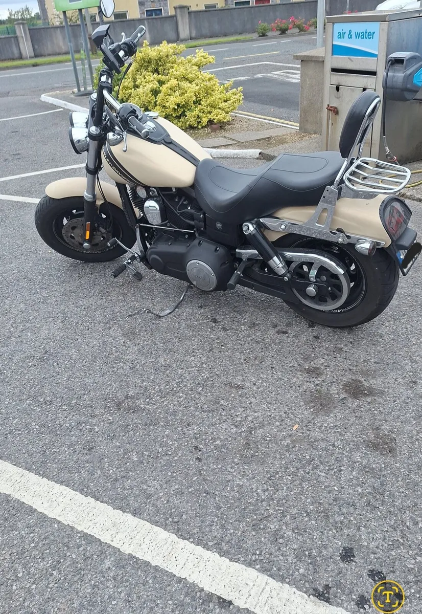 Harley - Image 4