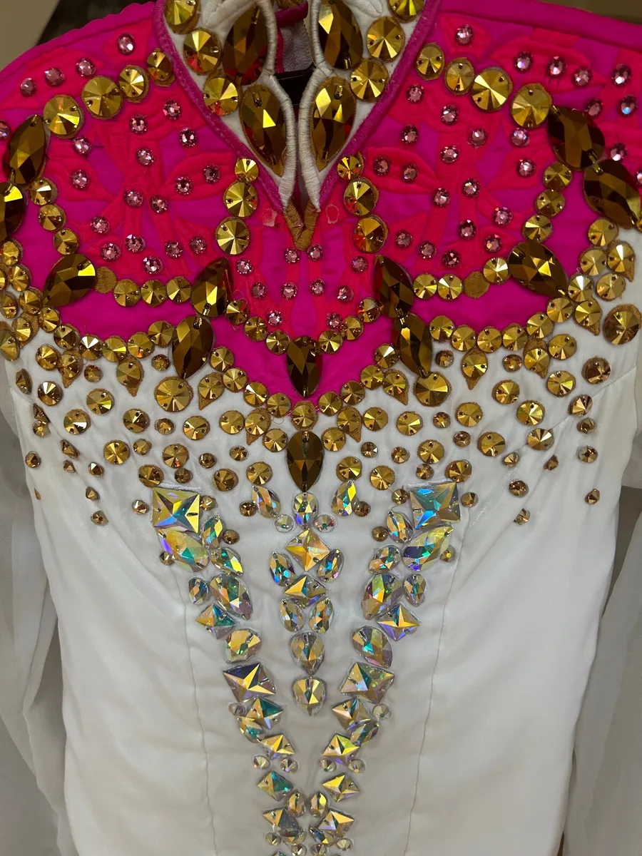 Stunning Irish dancing solo dress - Image 2