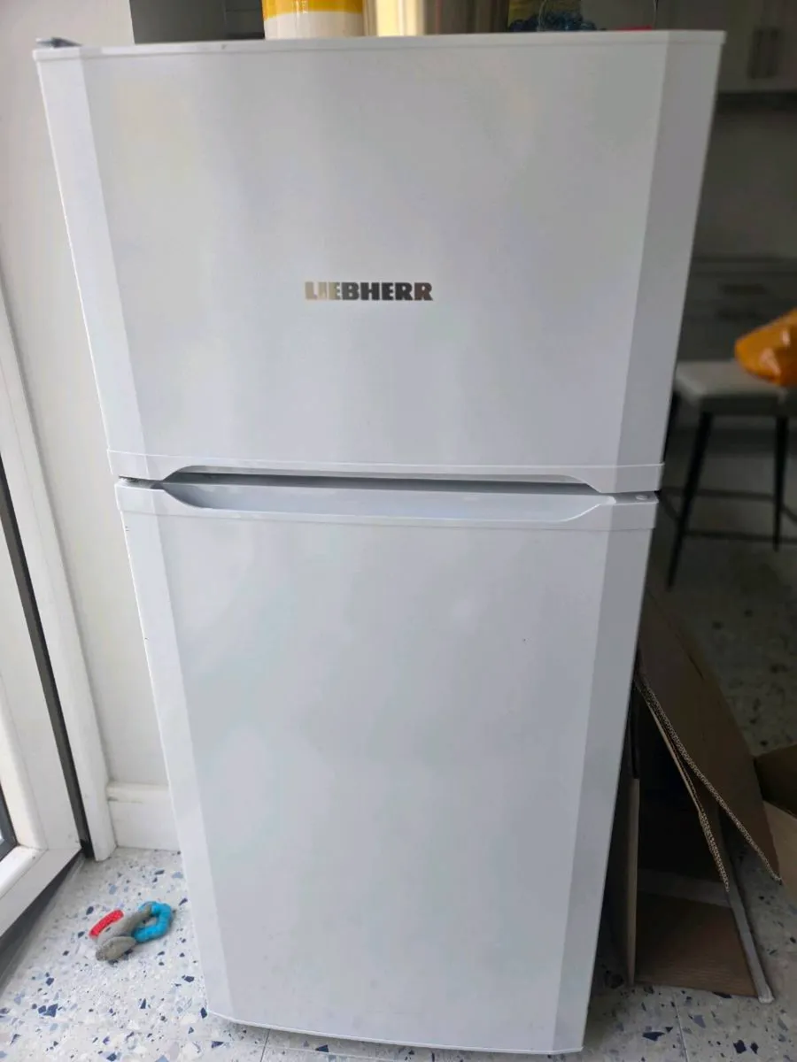 Fridge/Freezer (Liebherr) - Image 1