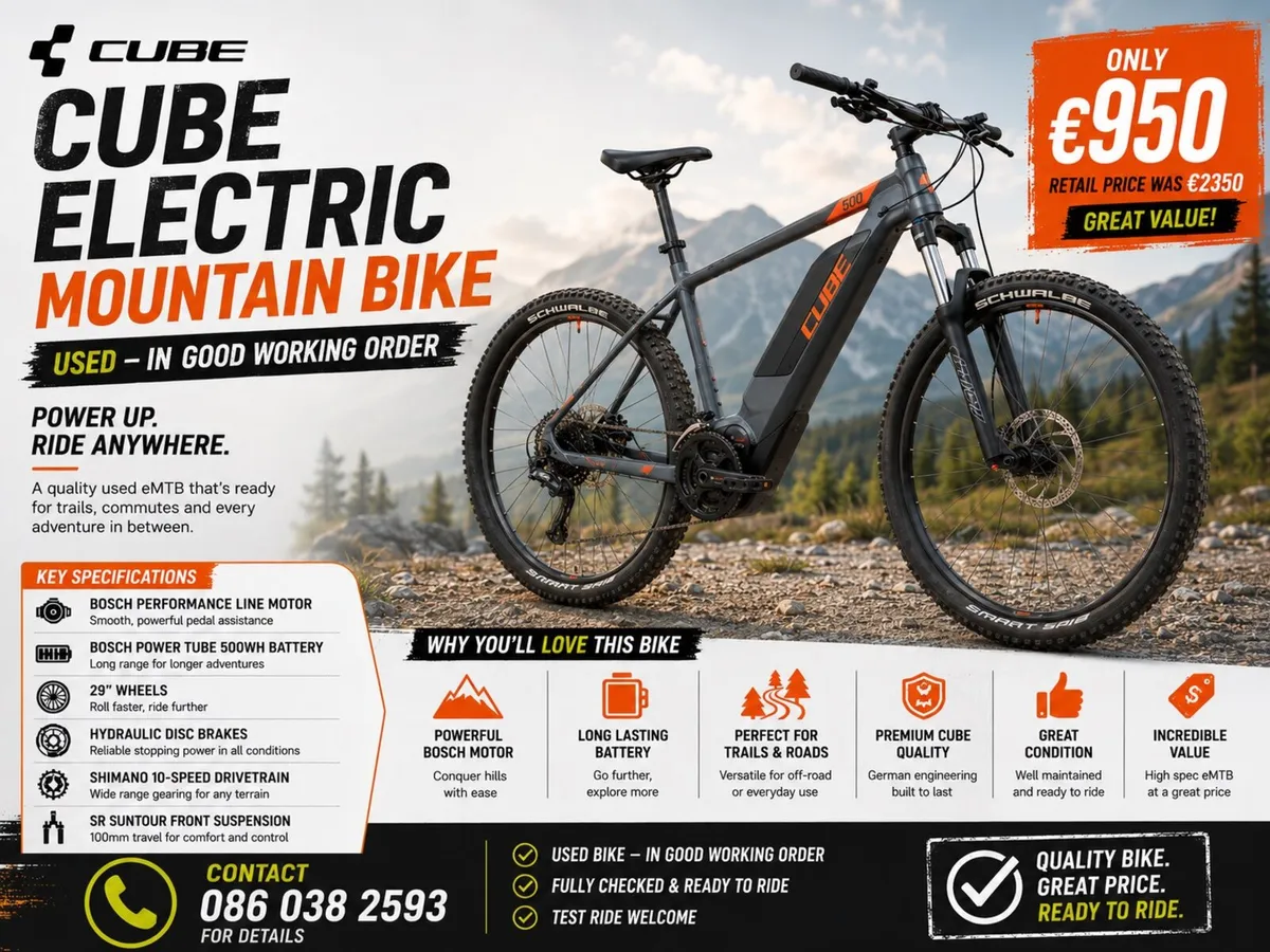 Electric Bike - Image 2