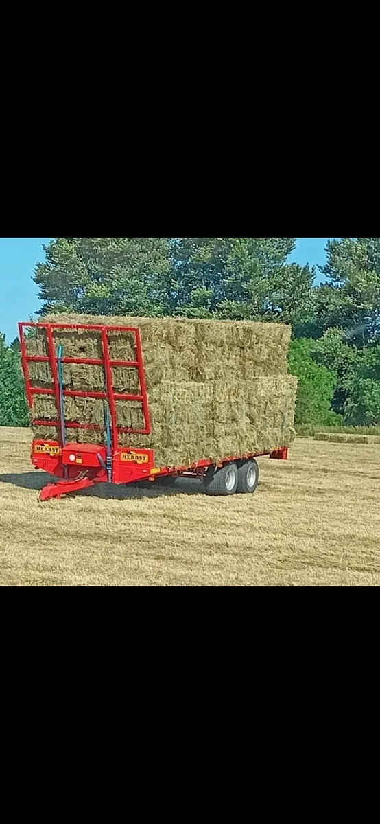 Hay bales (Square) - Image 1